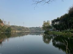 -重庆彩云湖湿地公园