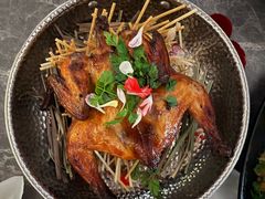 -Hi City·城市之巅