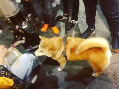 -香港会议展览中心演讲厅