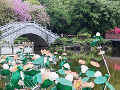 -柳侯公园