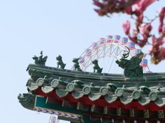 -天津大悲禅院