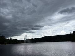 -五营红松林海景区