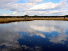 -塞罕坝国家级自然保护区