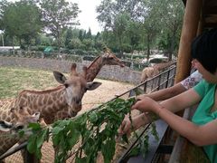 android_upload_pic-石家庄市动物园