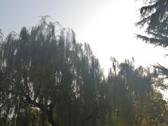 -贮水山儿童公园