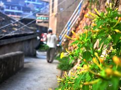 -东极岛景区
