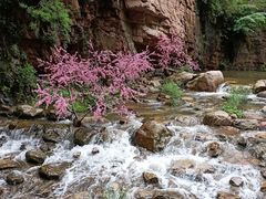 -湖洞水自然风景区