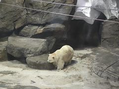 -海合安武汉极地海洋公园