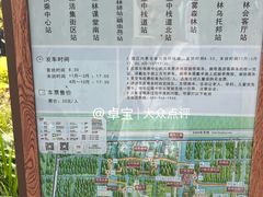 -黄海国家森林公园