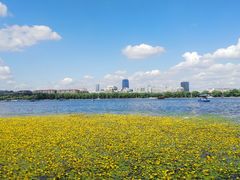 -长春市南湖公园