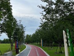 -澹台湖公园