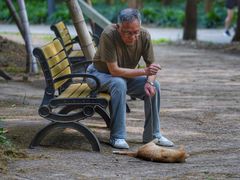 -苏州河梦清园环保主题公园