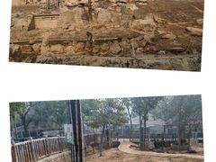 -石家庄市动物园