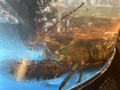 -星河湾半岛酒店-真粤中餐厅