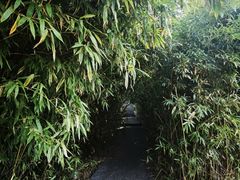 -云龙山