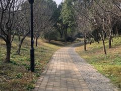 -宝界山林公园