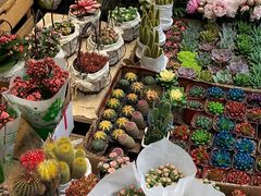 -循礼门鲜花花市(武汉循礼门店)