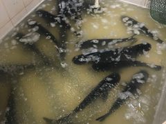 -魏铭鱼头捞饭(晋阳路店)