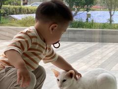 -飞行喵MR PILOT|猫舍·猫咖(静安大融城店)
