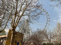 -石家庄市植物园