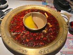 -哥老官重庆美蛙鱼头(日月光店)