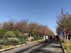 -古柏渡飞黄旅游区