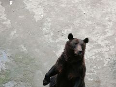 -哈尔滨北方森林动物园
