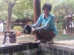-观唐（国际）度假村温泉