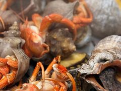 虾怪-集品鲜湾·蒸汽海鲜自助料理(青岛银座和谐广场店)