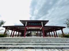 -大湾区中央湿地公园