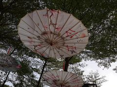 -广州市帽峰山景区