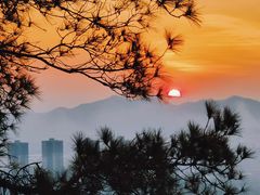 -南丹山森林王国