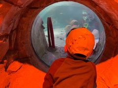 -沈阳海洋探索中心