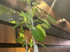 -西堤牛排(南京龙江店)