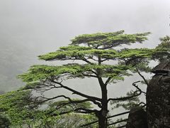 -萍乡武功山风景名胜区