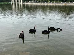 -长春世界雕塑园冰雪艺术天地