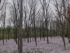 -将府公园