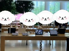 -Apple零售店(济南恒隆广场店)