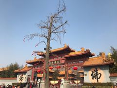 -大伊山景区