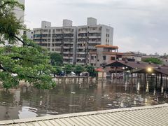 -细村农贸综合市场