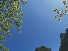 -青峰峡国家森林公园