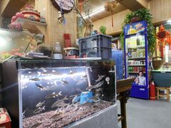 -老姐石板烧烤+铜炭火锅(总店)