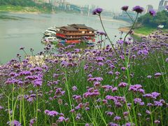 -石井坡(地铁站)