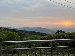 -金水泊山庄·花椒鸡(铁山坪店)