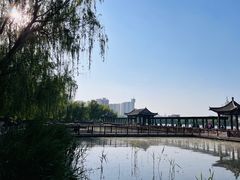 -莲花池公园