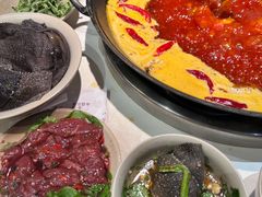 -朱氏胖子烂火锅(洪崖洞店)