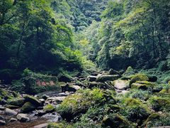 -碧峰峡风景区