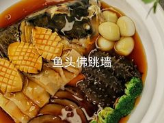 -信园