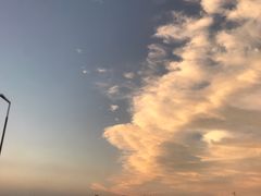 -荷塘月色湿地公园·向阳花洲