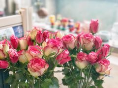 -昆明国际花卉拍卖交易中心